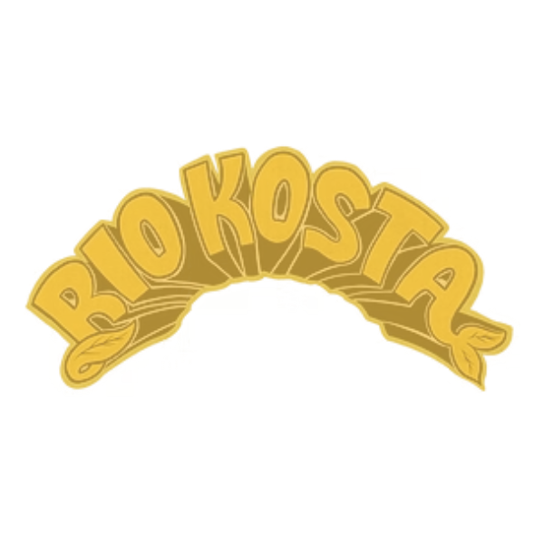 Rio Kosta — The Beehive LA touring client — Music Direction